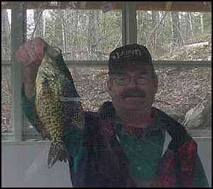 nice walleye